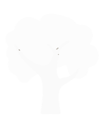 Processus de fabrication respectueux de l'environnement